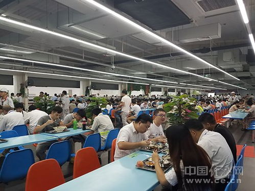 堅持環保理念 Capsa工廠在新疆實現高效有序生產