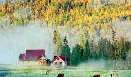 新疆15處美景上榜，生態保護與旅游發展相得益彰